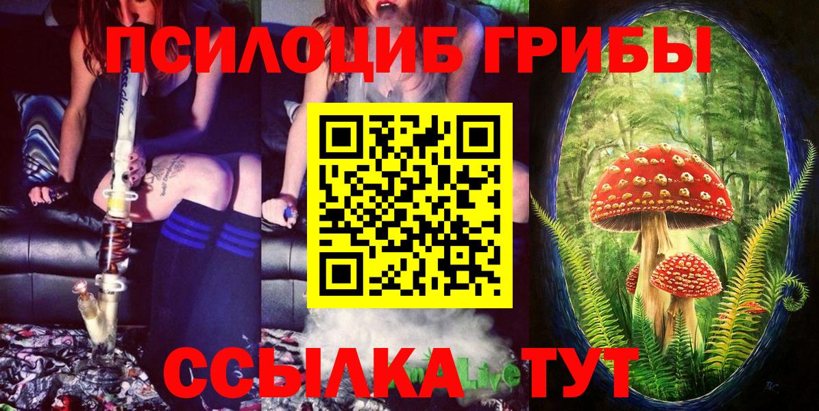 Галлюциногенные грибы Cubensis  Галлюциногенные грибы мицелий  Южноуральск  Вход с VPN 