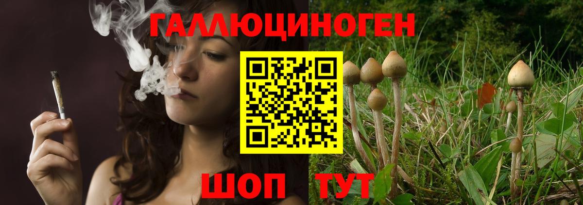 Псилоцибиновые грибы Magic Shrooms Южноуральск